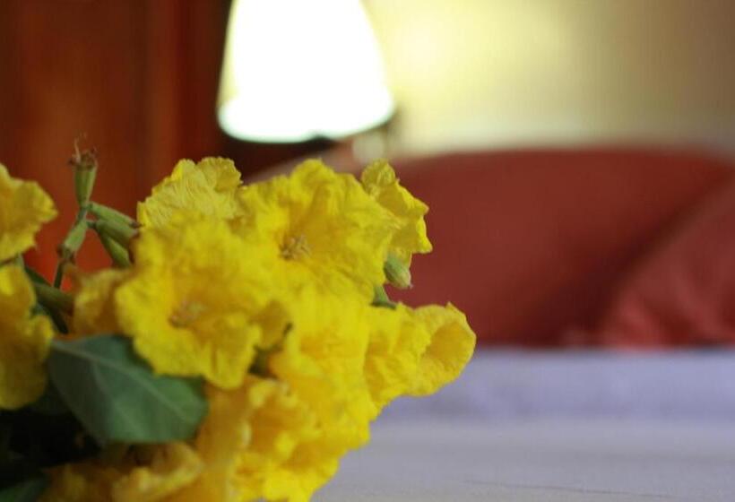 스탠다드 룸 킹사이즈 침대, The Wooden House