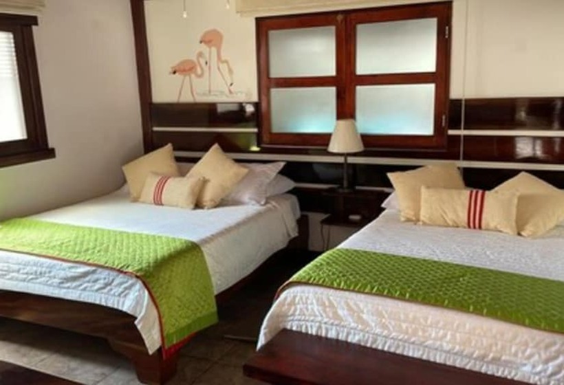 스탠다드 트리플 룸, The Wooden House