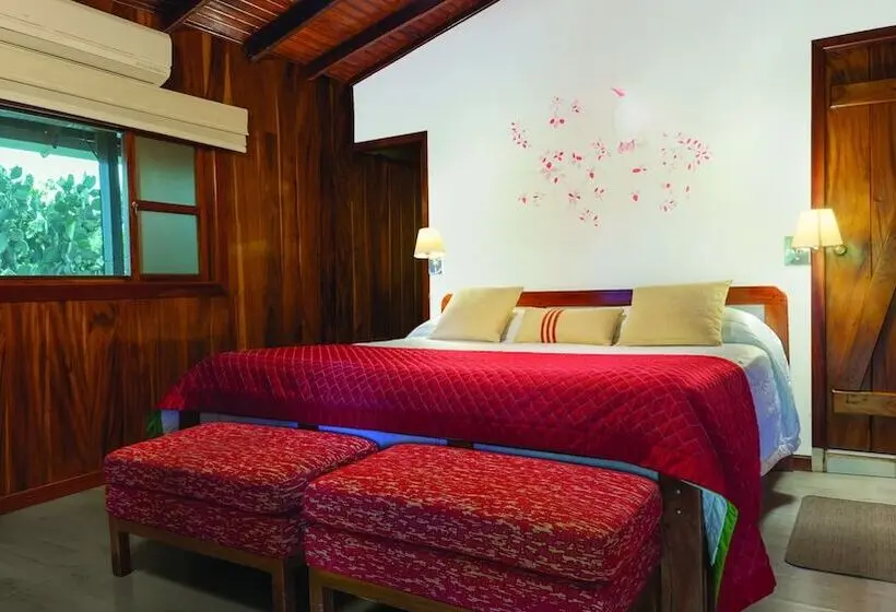 اتاق لوکس, The Wooden House