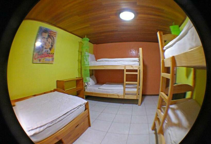 מיטה בחדר משותף, La Casa Del Molino Blanco B&b