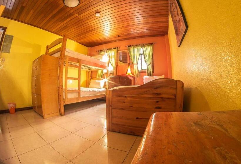 מיטה בחדר משותף, La Casa Del Molino Blanco B&b