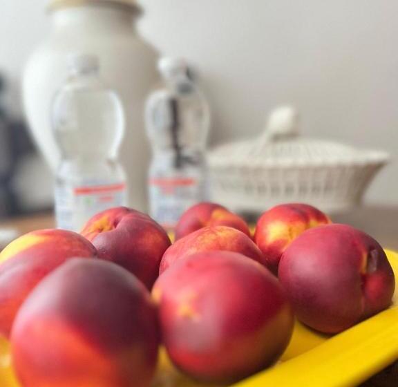 سوئیت جونیور با چشم‌انداز باغ, Enzo’s House