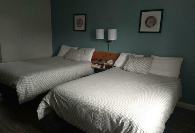 스탠다드 룸, Fireweed Motel