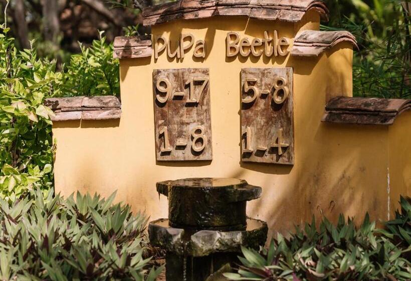 اتاق استاندارد, Ho Tram Beach Boutique Resort & Spa