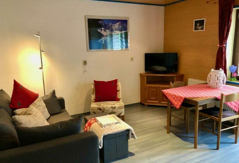 דירה בת חדר שינה 1 עם מרפסת, Casa Montana