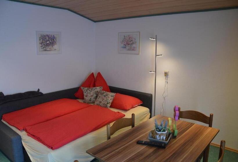 דירה בת חדר שינה 1 עם מרפסת, Casa Montana