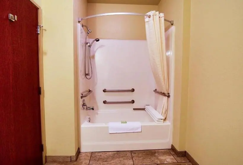 身障者適用シングルルーム, Cobblestone Hotel & Suites – Devils Lake