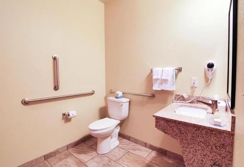 身障者適用シングルルーム, Cobblestone Hotel & Suites – Devils Lake