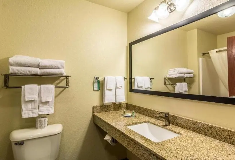 スタンダードシングルルーム, Cobblestone Hotel & Suites – Devils Lake