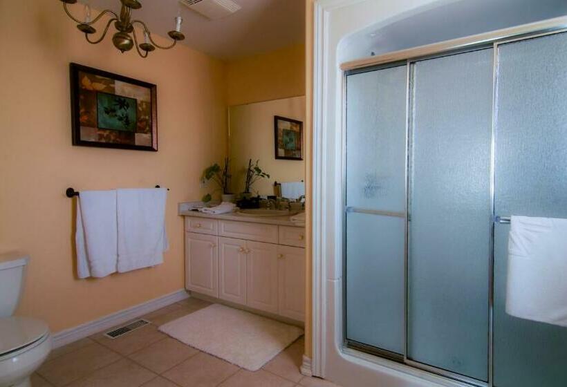 高级大房间, In Elegance