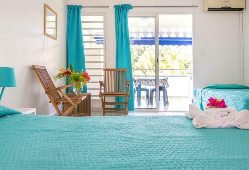 ガーデンビューのスタンダードワンルーム, Residence Les Cayalines