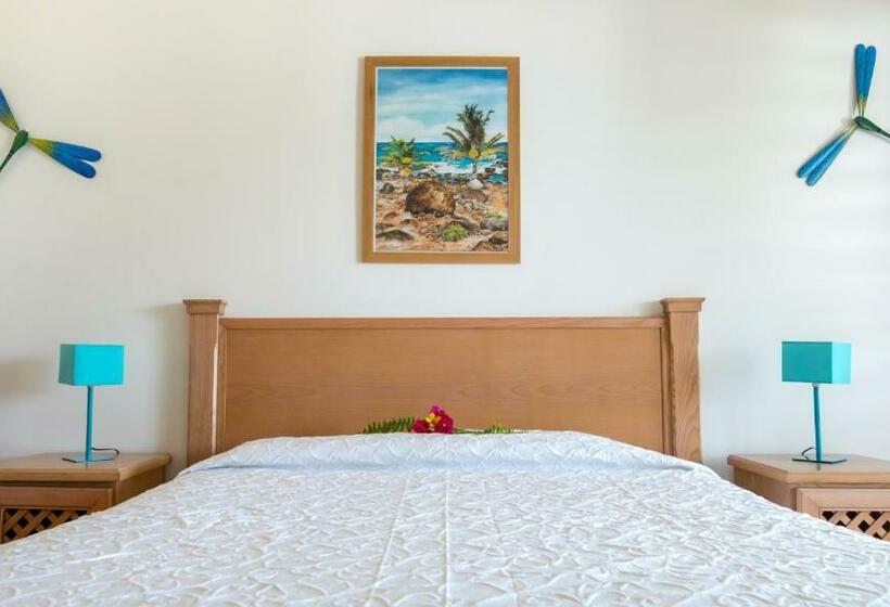 インサイドのスタンダードスタジオ, Residence Les Cayalines