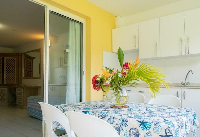 ガーデンビューのスタンダードワンルーム, Residence Les Cayalines