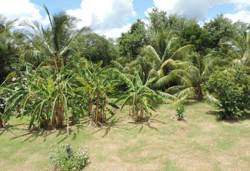 ガーデンビューのスタンダードワンルーム, Residence Les Cayalines