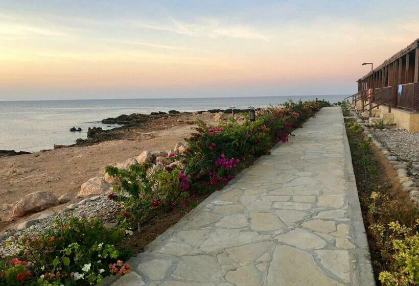 اتاق استاندارد, Turtle Beach Resort