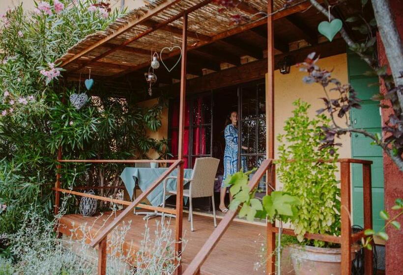 스탠다드 스튜디오, Villa Schindler