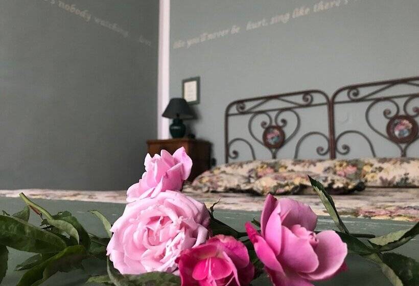 스탠다드 룸 호수 전망, Villa Schindler