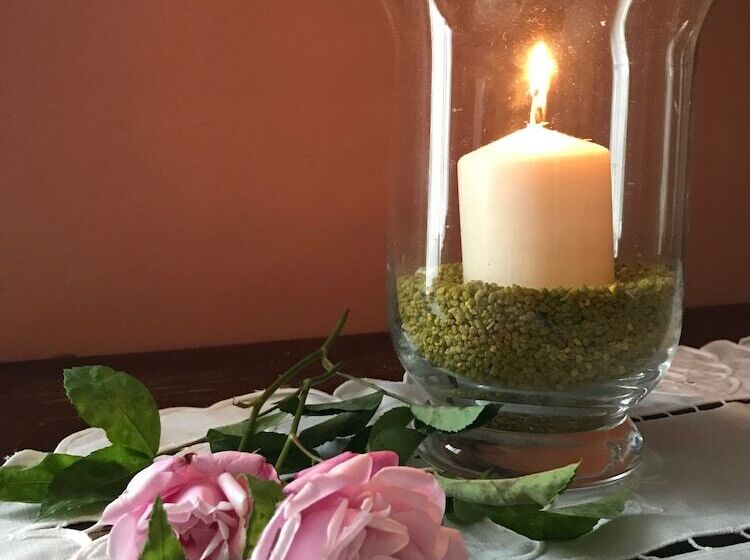 스탠다드 룸 호수 전망, Villa Schindler