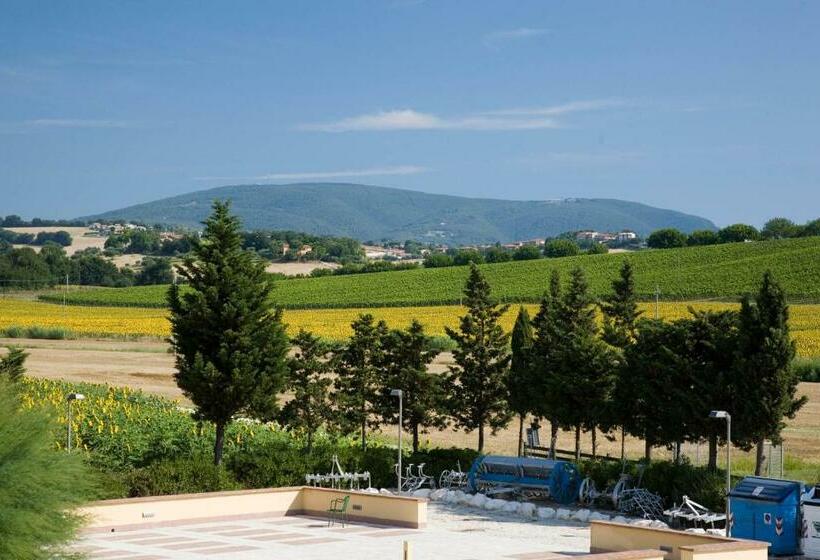 スタンダードシングルルーム, Le Fiabe Hotel Resort