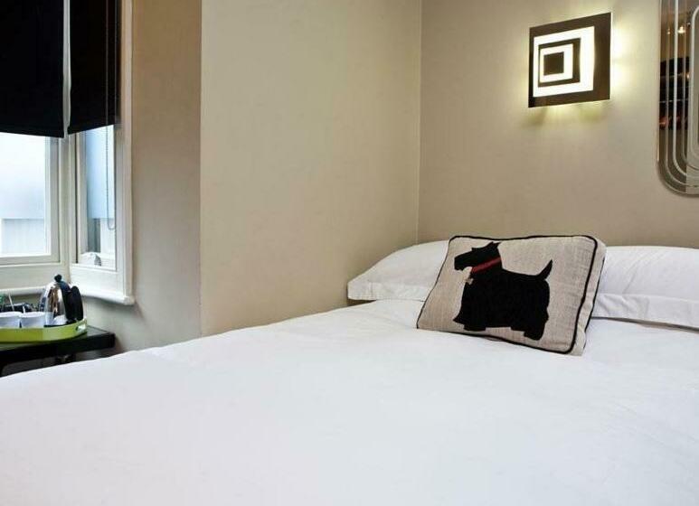 スタンダードルーム, Guest And The City