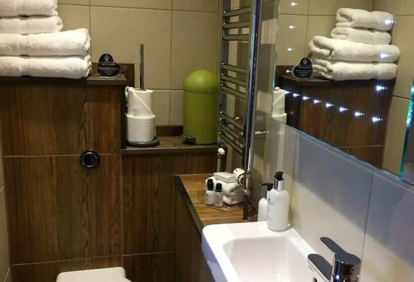 スタンダードルーム, Guest And The City