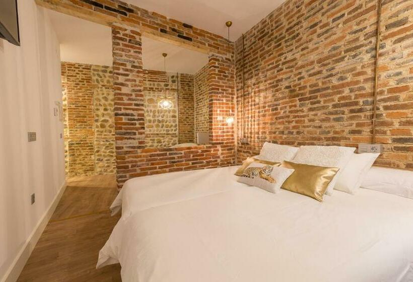 اتاق سوپریور, Hostal Albany Ancha