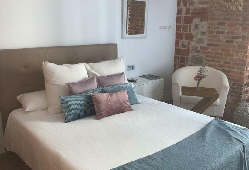 اتاق سوپریور, Hostal Albany Ancha