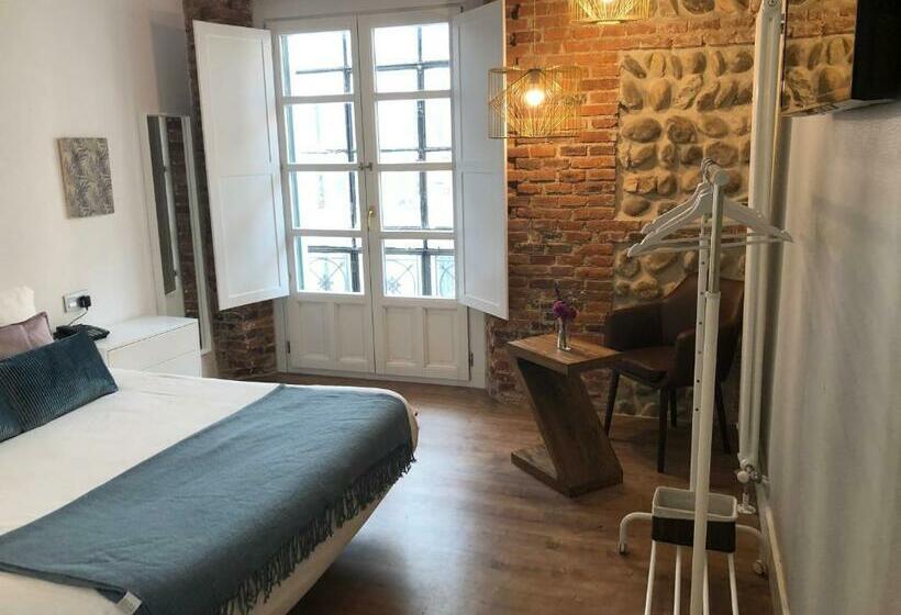 اتاق سوپریور, Hostal Albany Ancha