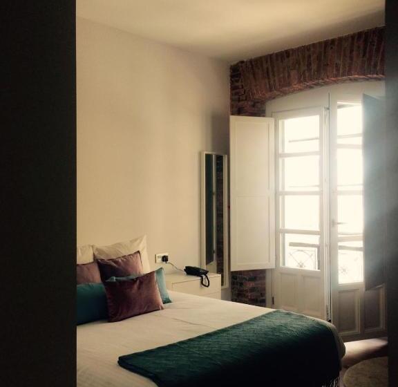 اتاق سوپریور, Hostal Albany Ancha