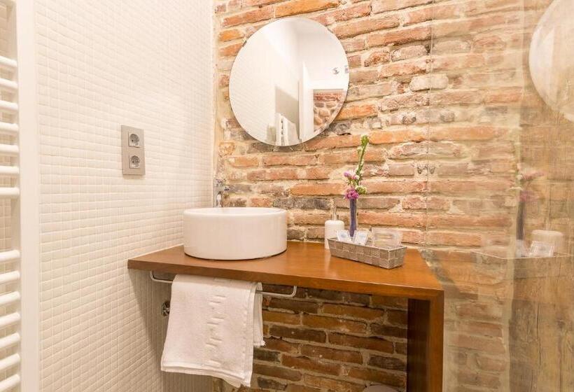 اتاق سوپریور, Hostal Albany Ancha