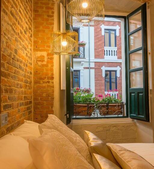 اتاق سوپریور, Hostal Albany Ancha