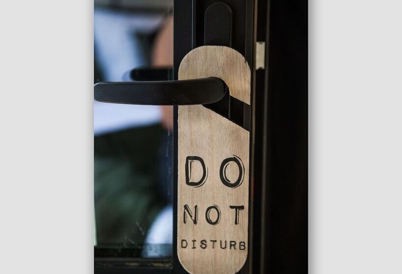 اتاق لوکس, B In Antwerp