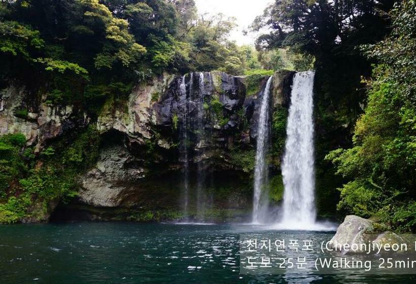 スタンダードルーム, Mido Hostel