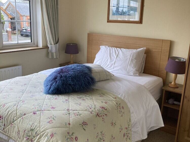اتاق استاندارد یک نفره, San Augustine Bed & Breakfast