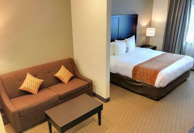 מיטת קינג בסוויטה, Comfort Inn & Suites