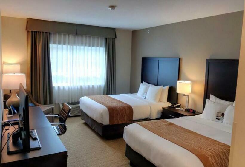 חדר סטנדרט, Comfort Inn & Suites