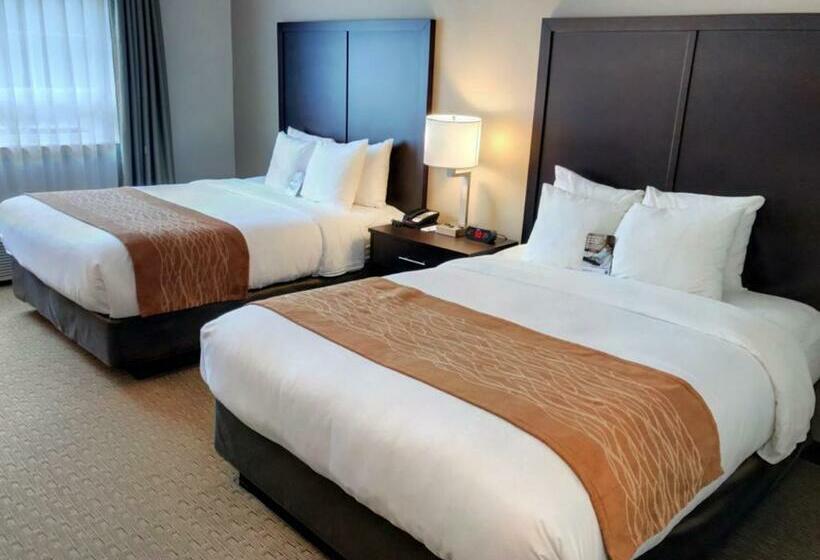 חדר סטנדרט, Comfort Inn & Suites