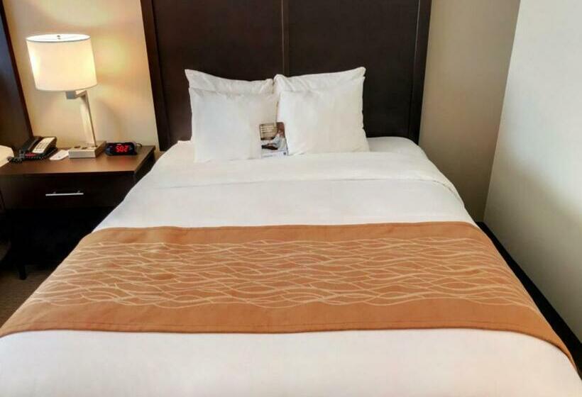 חדר סטנדרט, Comfort Inn & Suites