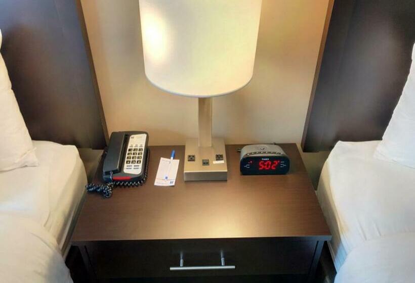 חדר סטנדרט, Comfort Inn & Suites