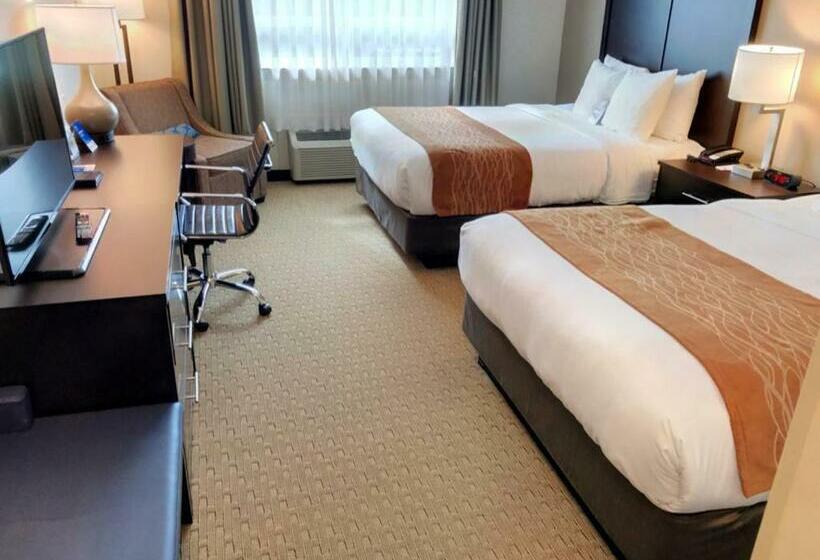חדר סטנדרט, Comfort Inn & Suites