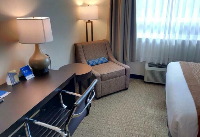 חדר סטנדרט, Comfort Inn & Suites