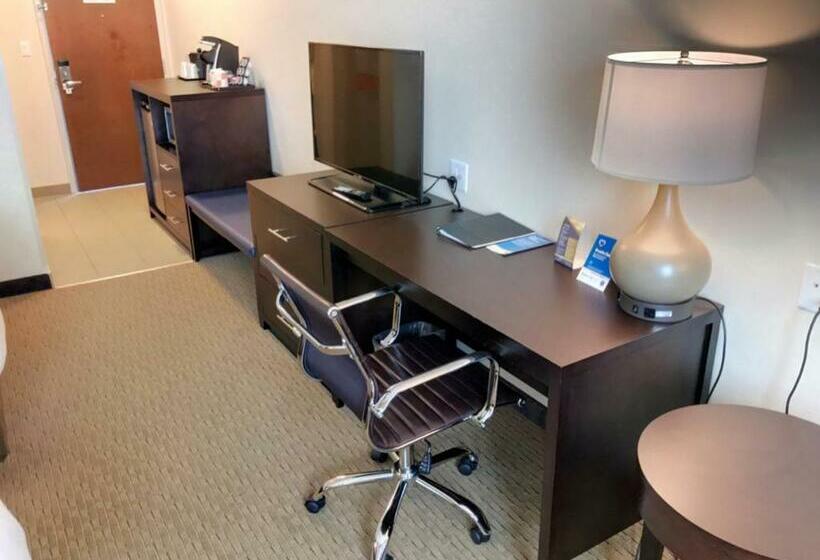 חדר סטנדרט, Comfort Inn & Suites