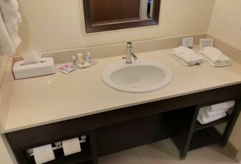 חדר סטנדרט, Comfort Inn & Suites