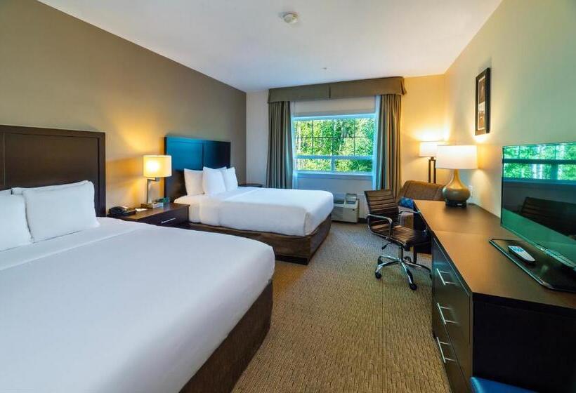 חדר סטנדרט, Comfort Inn & Suites