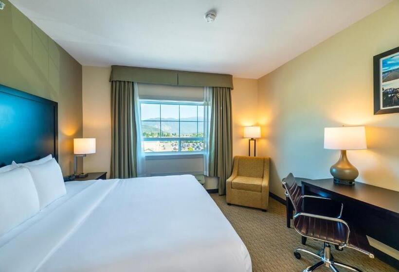 מיטת קינג בסוויטה, Comfort Inn & Suites