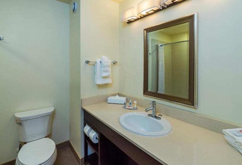 חדר סטנדרט עם מיטת קינג, Comfort Inn & Suites