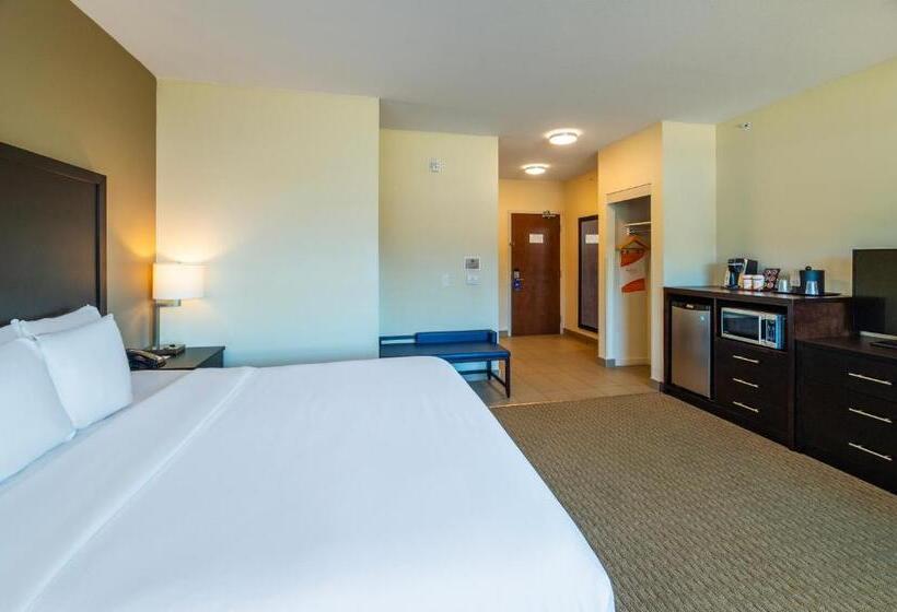 חדר סטנדרט, מיטת קינג, מותאם לאדם עם מוגבלויות, Comfort Inn & Suites