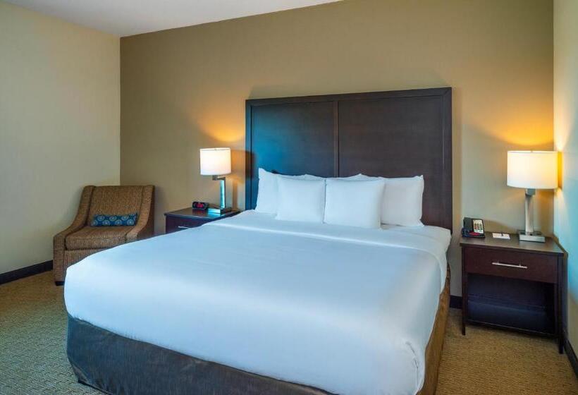 חדר סטנדרט, מיטת קינג, מותאם לאדם עם מוגבלויות, Comfort Inn & Suites