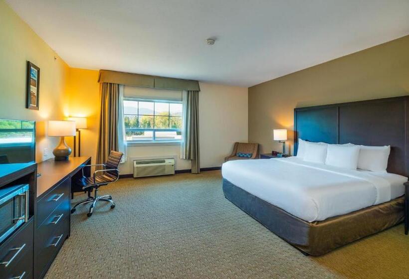 חדר סטנדרט, מיטת קינג, מותאם לאדם עם מוגבלויות, Comfort Inn & Suites