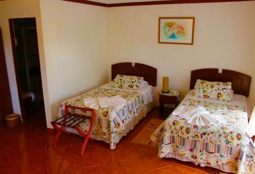 חדר סטנדרט, Gomero